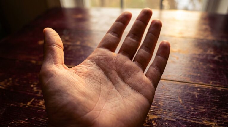 Close-up of an open palm in natural light, used for palm reading and showing the natural creases of the major lines across the hand